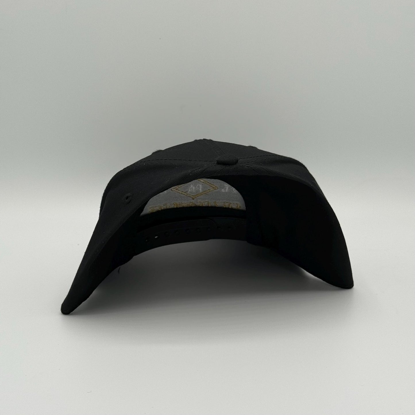 Pittsburgh City of Bridges - Hat (White)