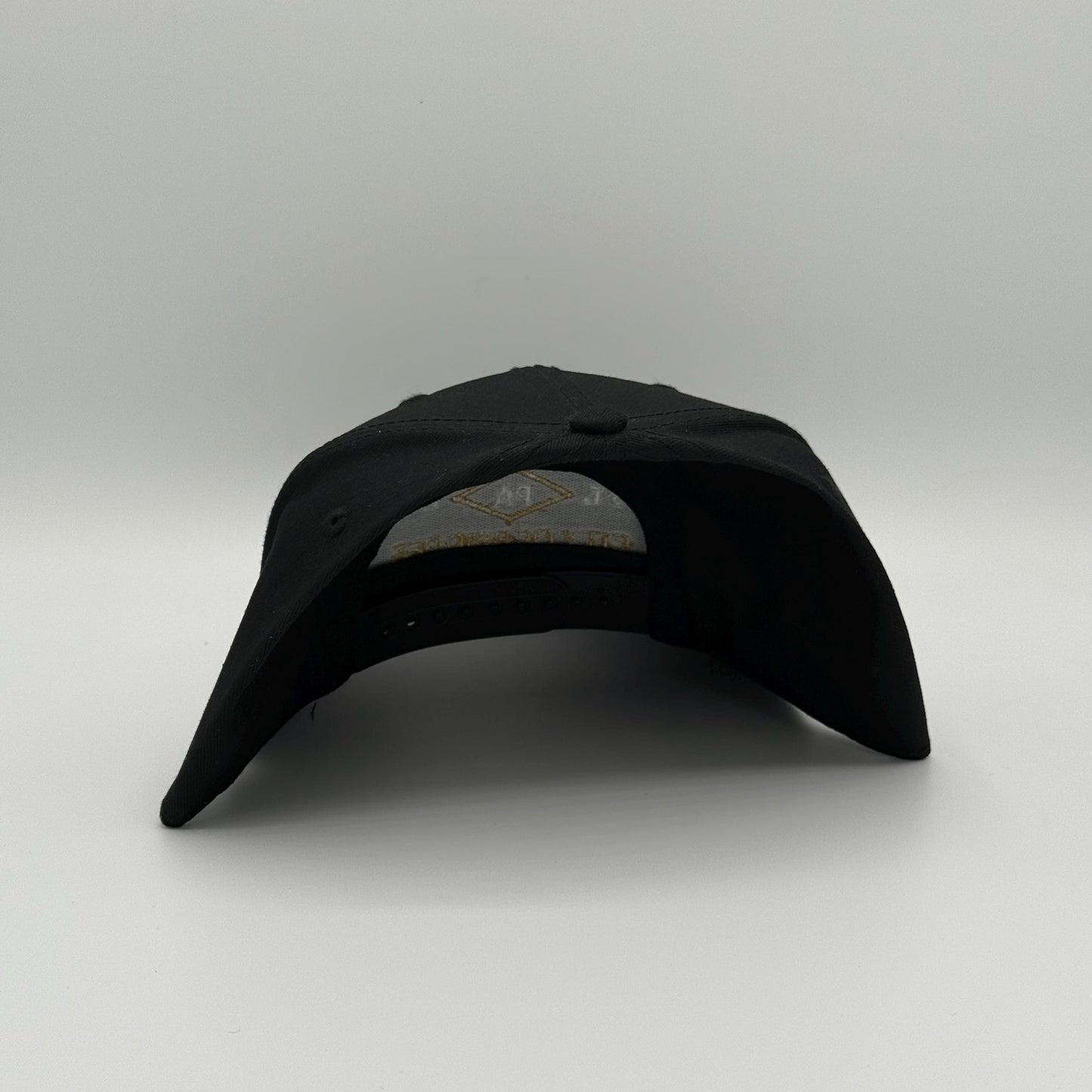 Pittsburgh City of Bridges - Hat (Black)